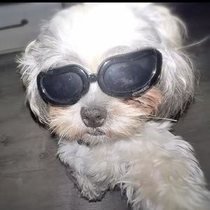 Meet your Posher, Dacee